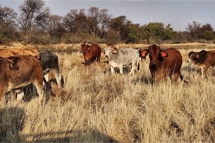 0 Bedroom Property for Sale in Klerksdorp Rural North West